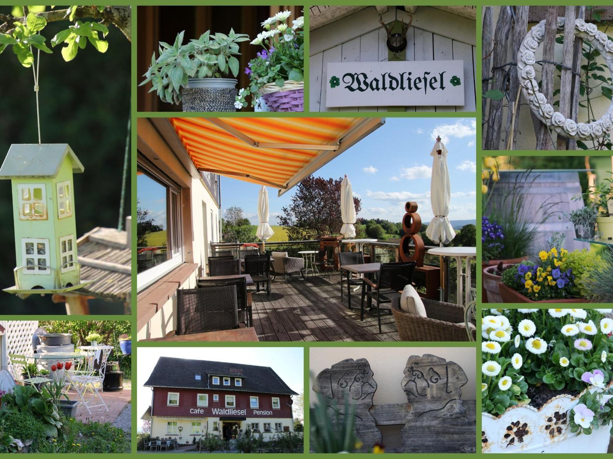 Pension Waldliesel Dornstetten Exterior photo